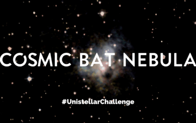 CHALLENGE OF THE WEEK: THE COSMIC BAT NEBULA