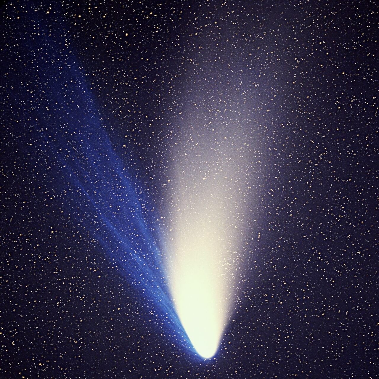 Comet Hale Bopp 1995O1 Large 